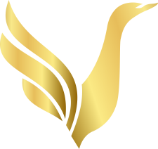 VNEXORA Logo